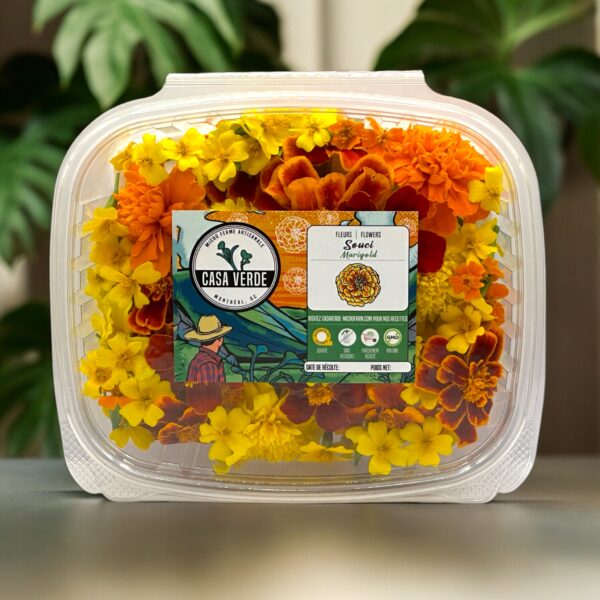 Marigold Fleurs comestibles